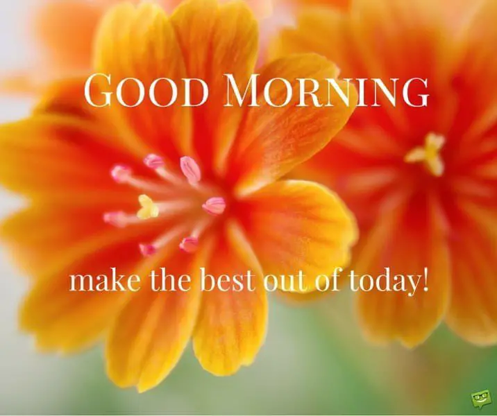 Good morning, make the best out of today!