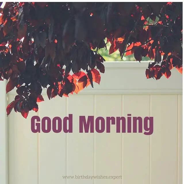 A Smile from a Good Morning Image