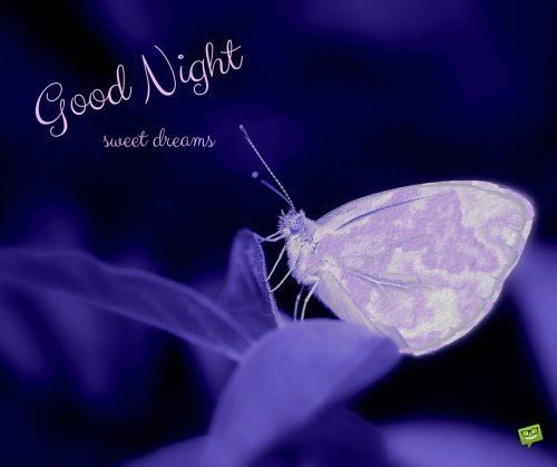 Goodnight, sweet dreams. | Birthday Wishes Expert Goodnight, sweet dreams.