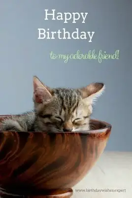 Happy Birthday to my adorable friend!