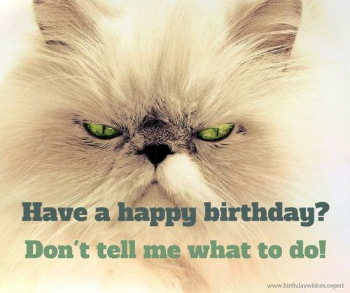 Funny birthday message on image of grumpy cat. | Birthday Wishes Expert Have a happy birthday? Don't tell me what to do!
