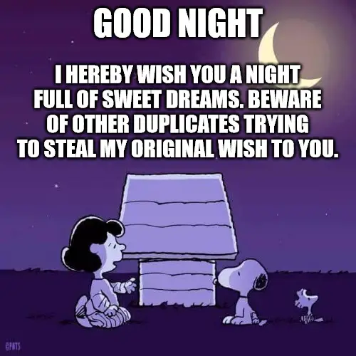 I Hereby Wish You A Night Full Of Sweet Dreams Beware Of Other Duplicates Trying To Steal My Original Wish To You Good Night Meme