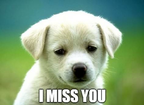 Missing you | Birthday Wishes Expert Missing you | Birthday Wishes Expert