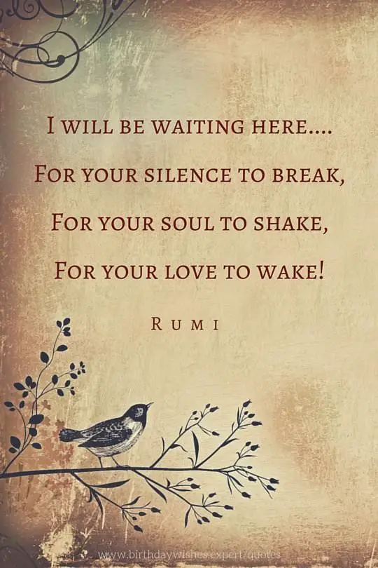 Rumi Quotes to Help You Enjoy Life Rumi Quotes to Help You Enjoy Life