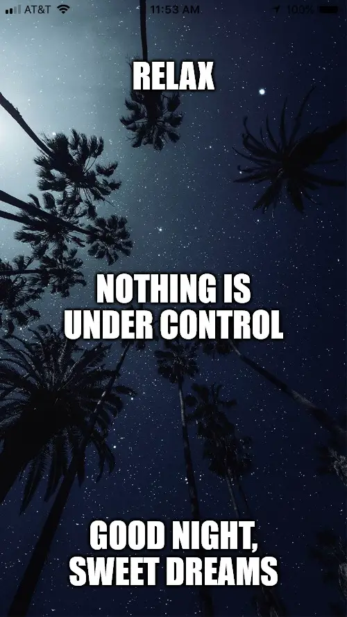 Relax Nothing Is Under Control Good Night Swet Dreams Meme