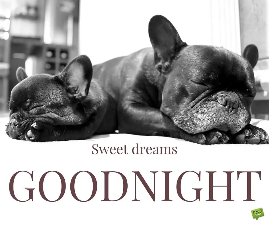 Goodnight, sweet dreams. | Birthday Wishes Expert Goodnight, sweet dreams.