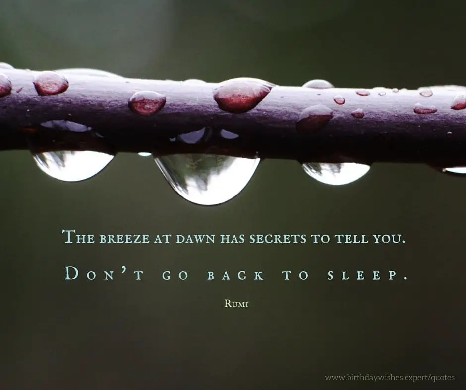 Rumi Quotes to Help You Enjoy Life