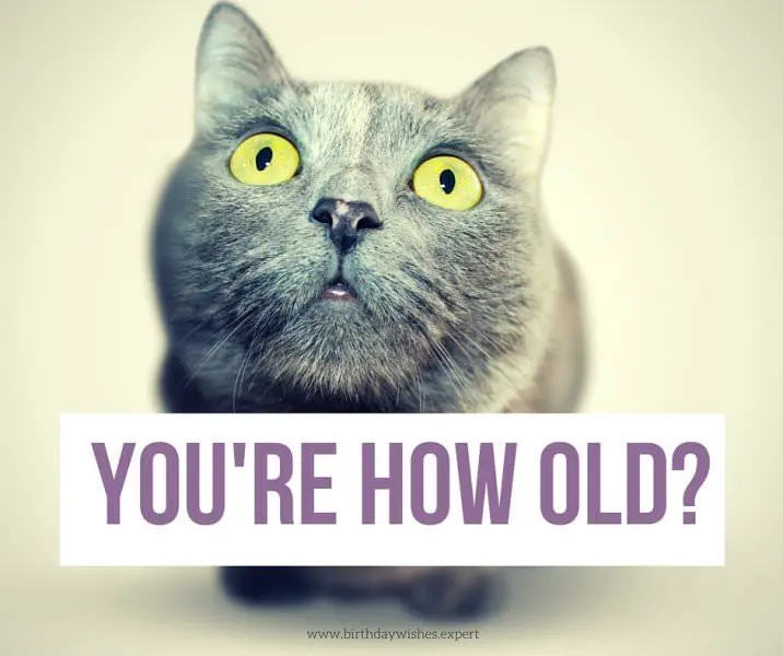 you're how old?
