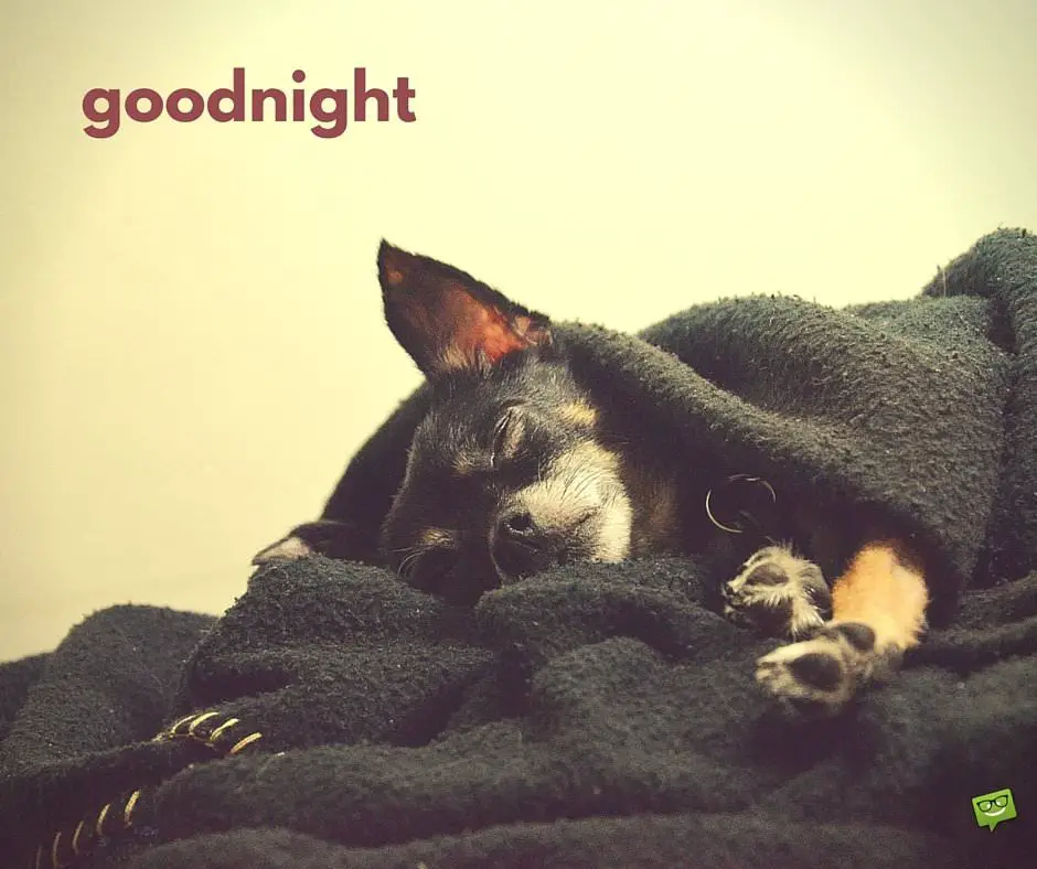 Goodnight. | Birthday Wishes Expert Goodnight.