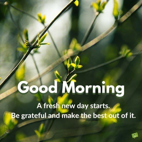 Good Morning. A fresh new day starts. Be grateful and make the best out of it.