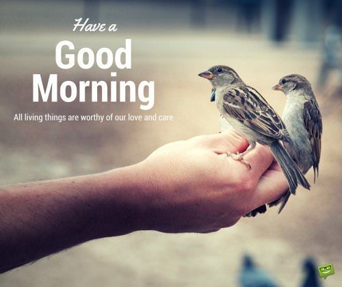 Have a Good Morning! All living things are worthy of our love and care.