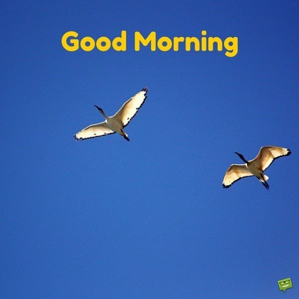 Good Morning. | Birthday Wishes Expert Good Morning.