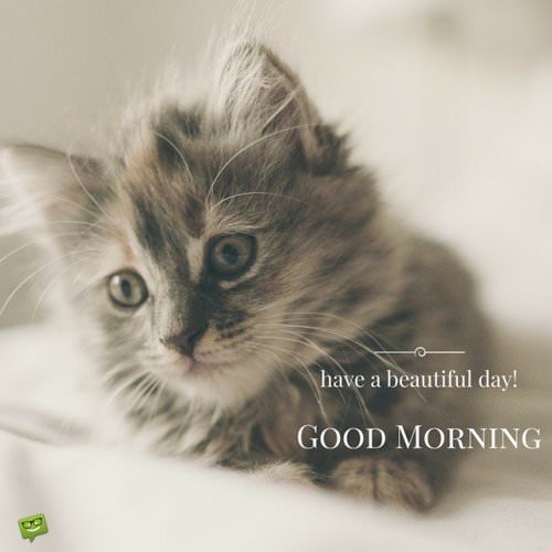 Good Morning. Have a beautiful day!