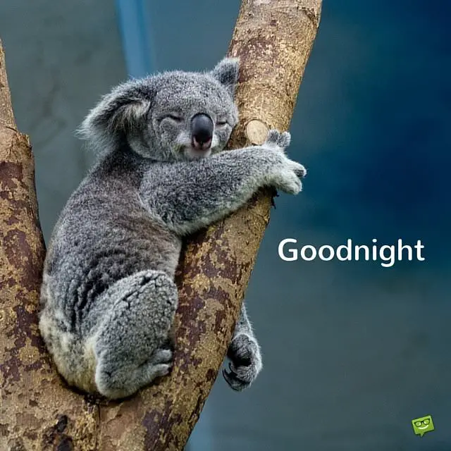 25 Cute Good Night Images to Send Like a Kiss Goodnight