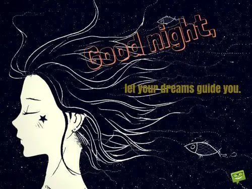 Good night,let your dreams guide you.
