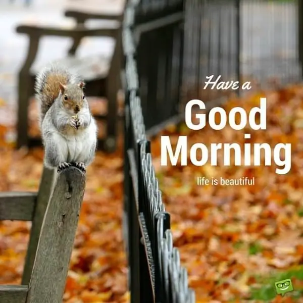 Happy Good Morning image with cute squirel