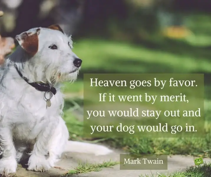 Heaven goes by favor. If it went by merit you would stay out and your dog would go in. Quote about dogs
