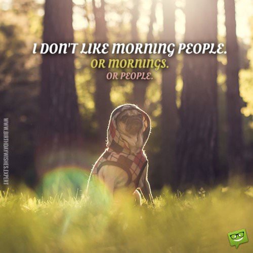 Funny quote about people and mornings. With image of funny dog in a forest. | Birthday Wishes Expert I don't like morning people. Or mornings. Or people.