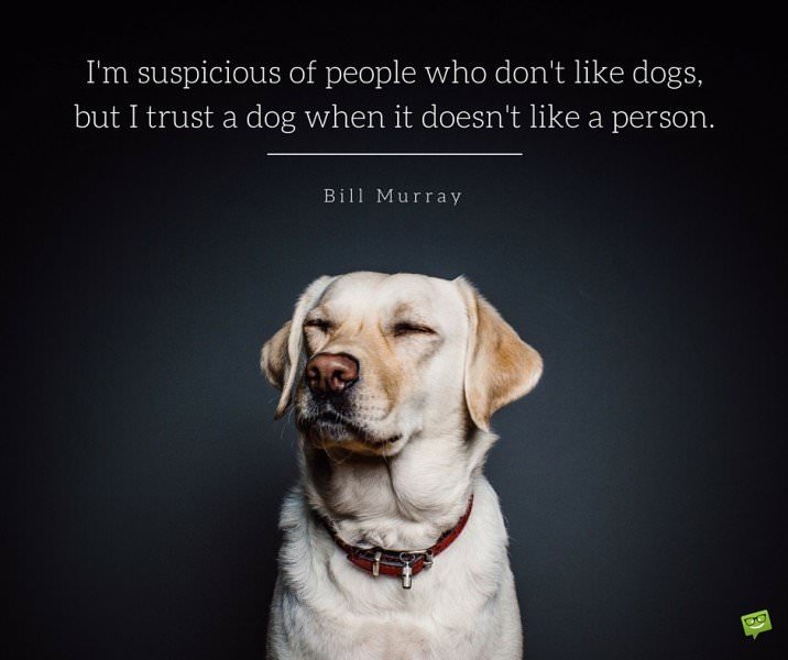 I'm suspicious of people who don't like dogs, but I trust a dog when it doesn't like a person. Bill Murray.