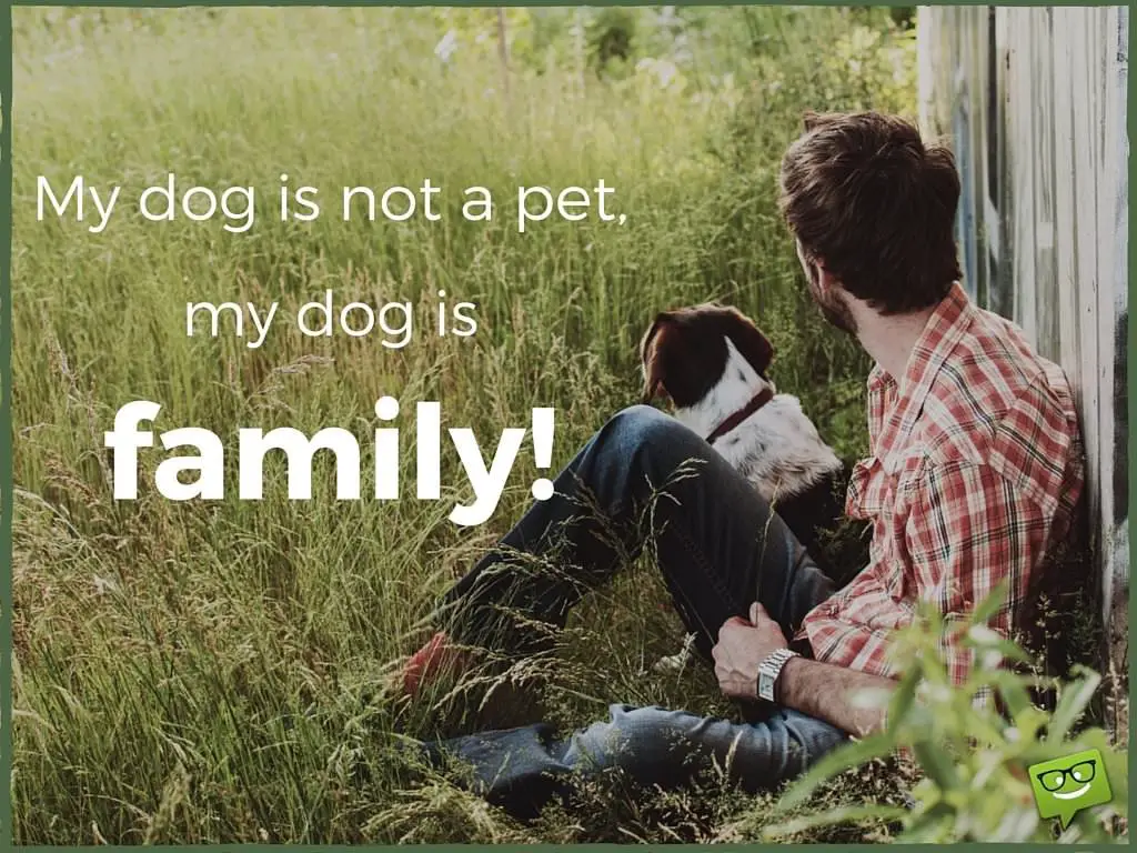 My dog is not a pet My dog is family