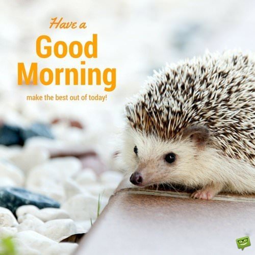 Have a Good Morning. Make the best out of today!