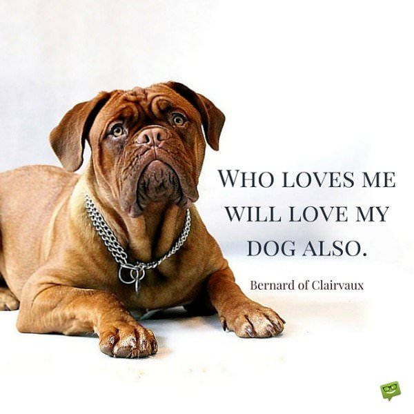Who loves me will love my dog also. Bernard of Clairvaux