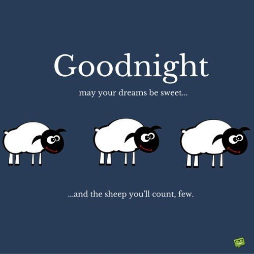 Good night. May your dreams be sweet... and the sheep you'll count, few.