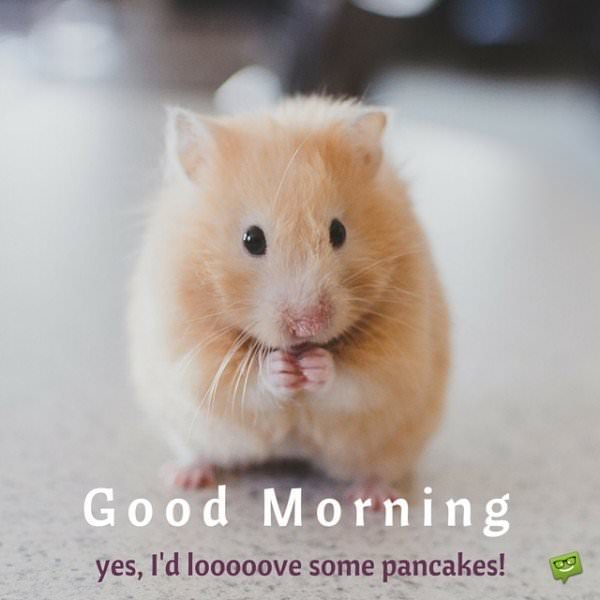 Good Morning. Yes, I'd looooove some pancakes!