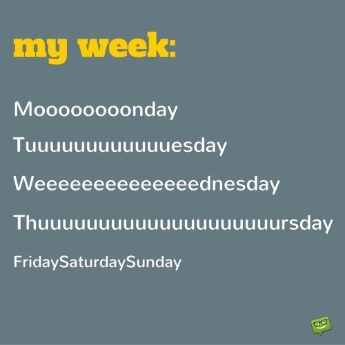 Funny Monday quote about how fast pass the weekend and how slow the rest of the days. | Birthday Wishes Expert Weekends fly by so quickly!