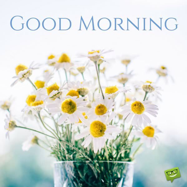 Good morning Amazing-Good-Morning-Images-and-Quotes-Daisies-600x600