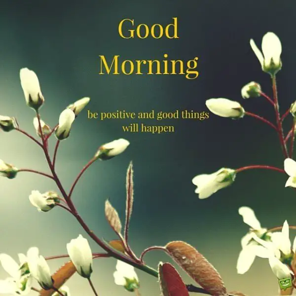 Good Morning. Be positive and good things will happen.