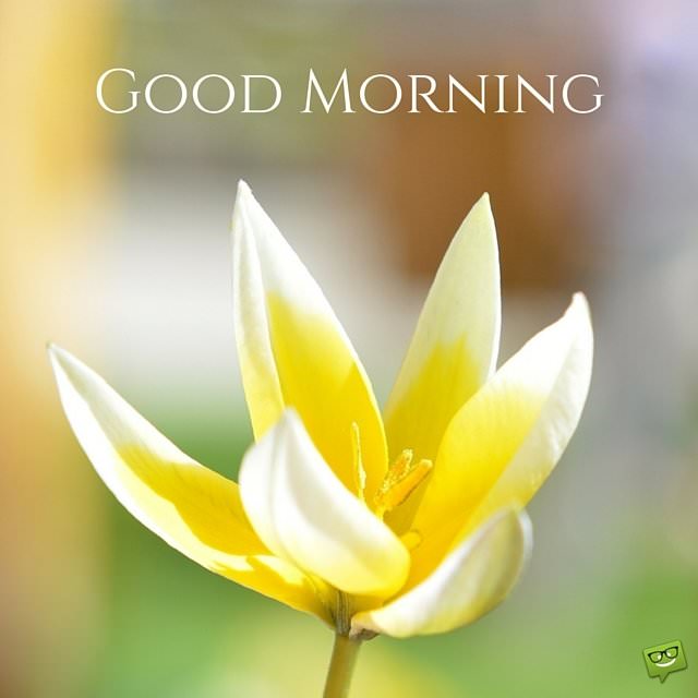 Amazing Good Morning Quotes and Images that Will Inspire You Amazing Good Morning Quotes and Images that Will Inspire You