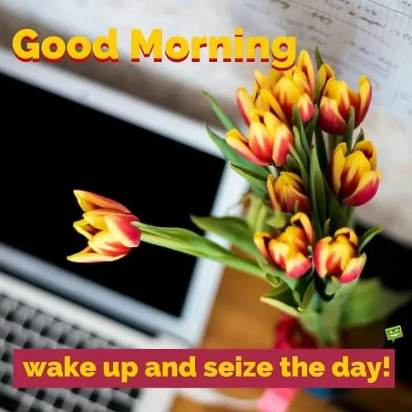 Good Morning. Wake up and seize the day!
