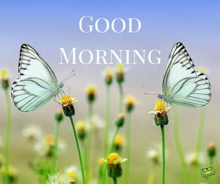 Good Morning. | Birthday Wishes Expert Good Morning.