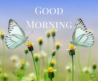 Good-Morning-17.jpg