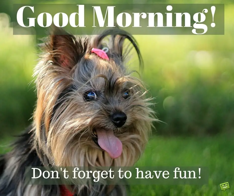 Good Morning! Don't forget to have fun!