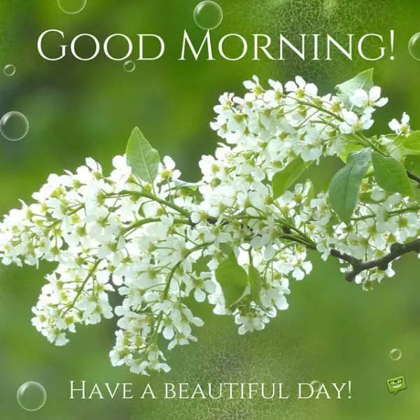 Good Morning. Have a beautiful day!