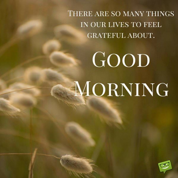 There are so many things in our lives to feel grateful about. Good Morning.