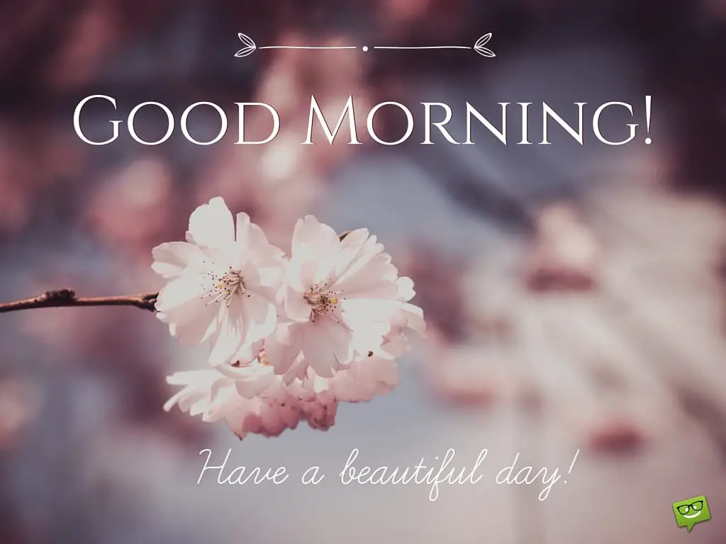 Good Morning! Have a beautiful day!