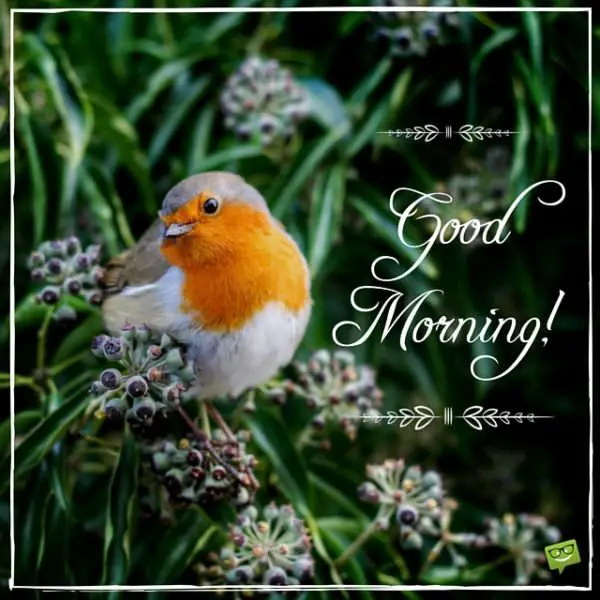 Good Morning! | Birthday Wishes Expert Good Morning!