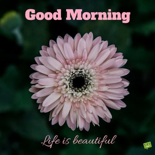 Good Morning! Life is beautiful.