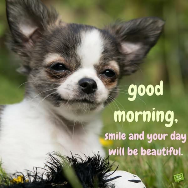 Good morning. Smile and your day will be beautiful.