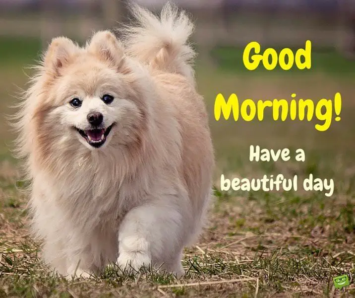 Good Morning! Have a beautiful day!