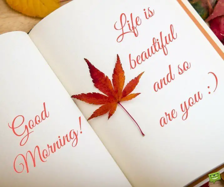 Good Morning! Life is beautiful and so are you :)