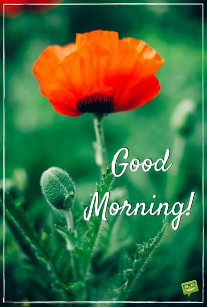 Amazing Good Morning Quotes And Images That Will Inspire You
