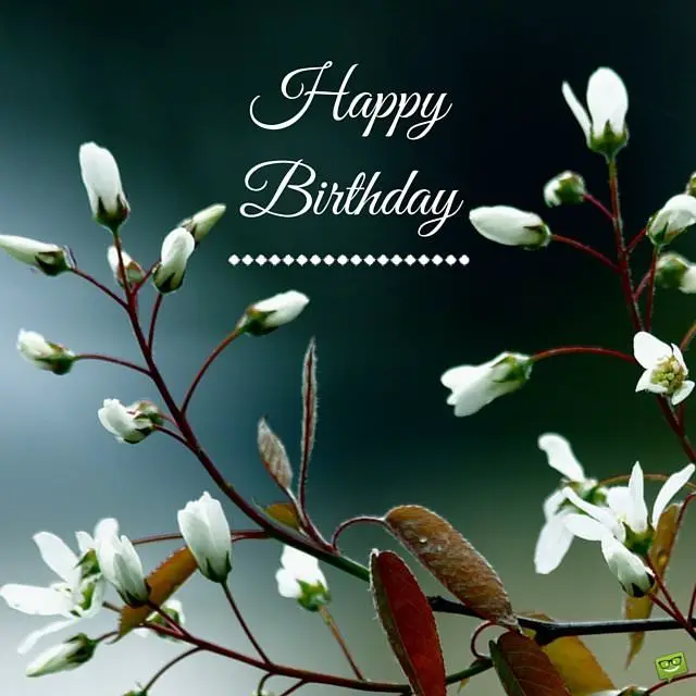 25 Original Happy Birthday Pictures to Make Someone's Birthday Special
