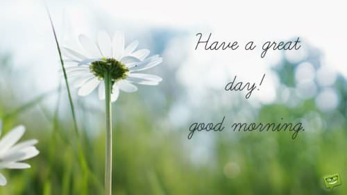 Have a great day. Good Morning!