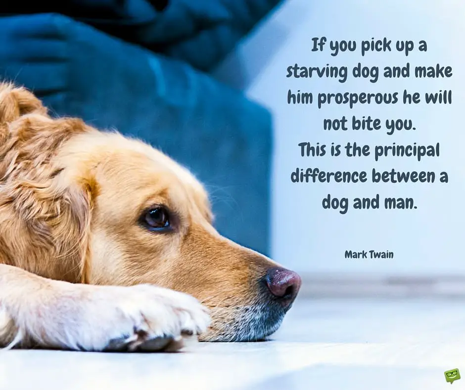 If you pick up a starving dog and make him prosperous he will not bite you. This is the principal difference between a dog and man. Mark Twain.