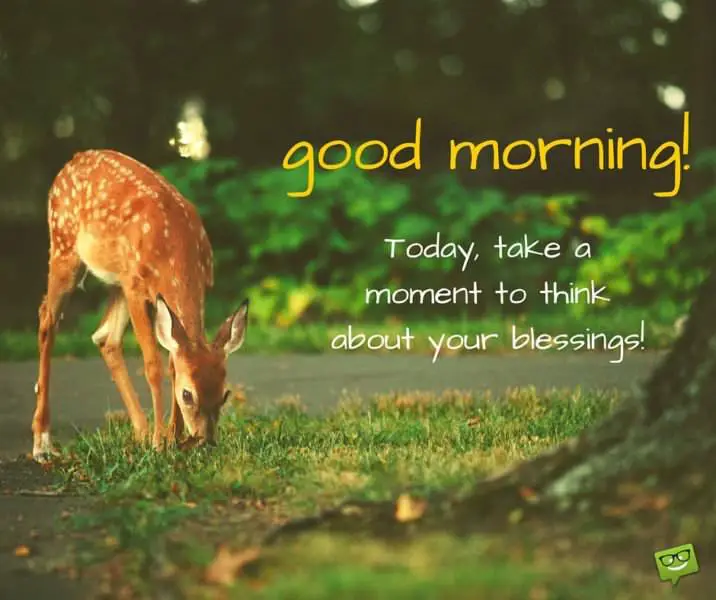 Good Morning. Today, take a moment to think about your blessings.