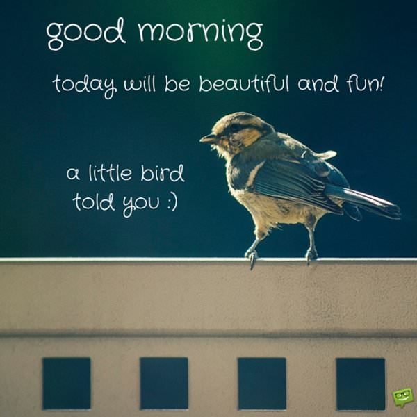 Good Morning! Today will be beautiful and fun. A little bird told you :)